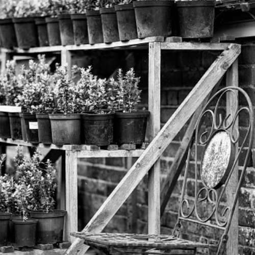 The Potting Shed Collection